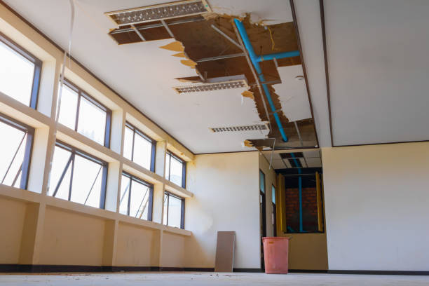 Best Commercial water damage restoration  in Applewood, CO