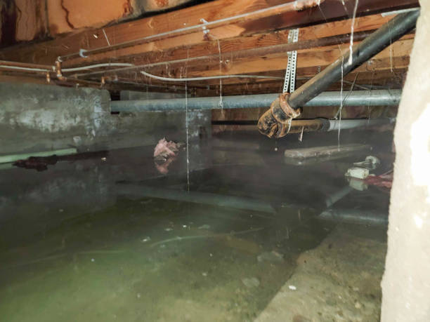 Best 24-hour water damage restoration  in Applewood, CO