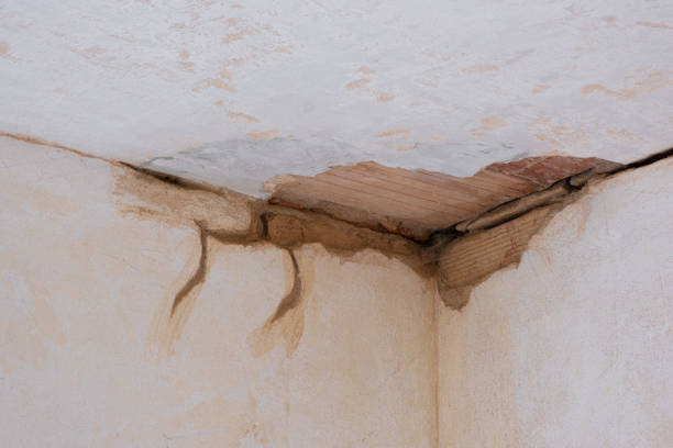 Best Flood damage cleanup  in Applewood, CO