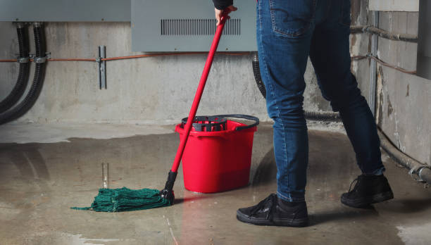 Best Carpet water damage restoration  in Applewood, CO