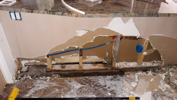 Best Local water damage restoration  in Applewood, CO