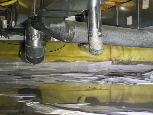 Best Sewage cleanup and water damage restoration  in Applewood, CO