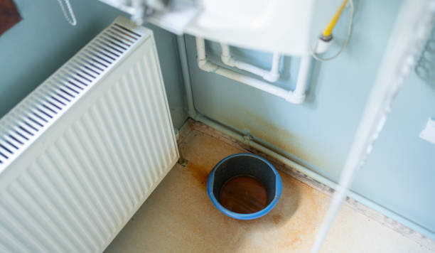 Best Water damage cleanup near me  in Applewood, CO