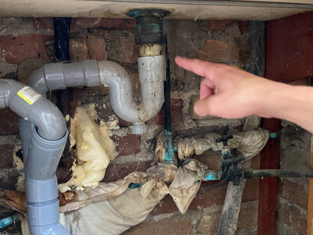 Best Carpet water damage restoration  in Applewood, CO