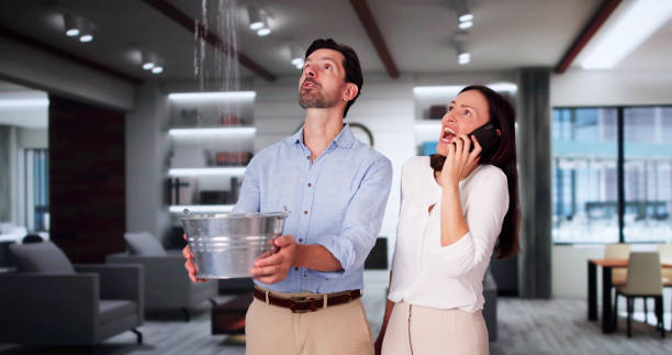Best 24/7 water damage repair  in Applewood, CO
